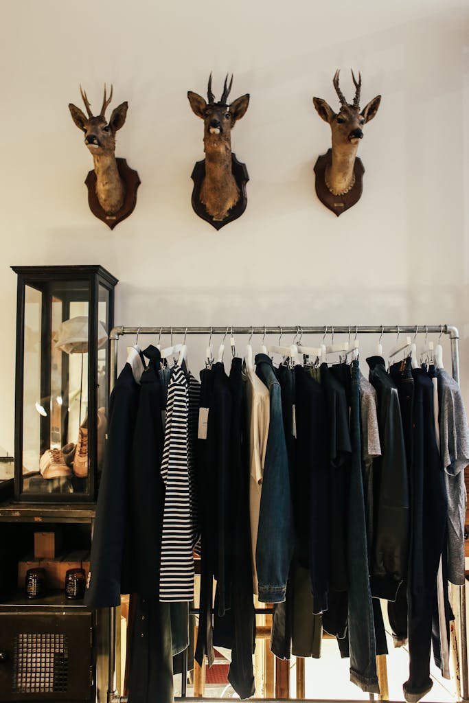 Stylish clothing store interior featuring mounted deer heads and modern clothing display.