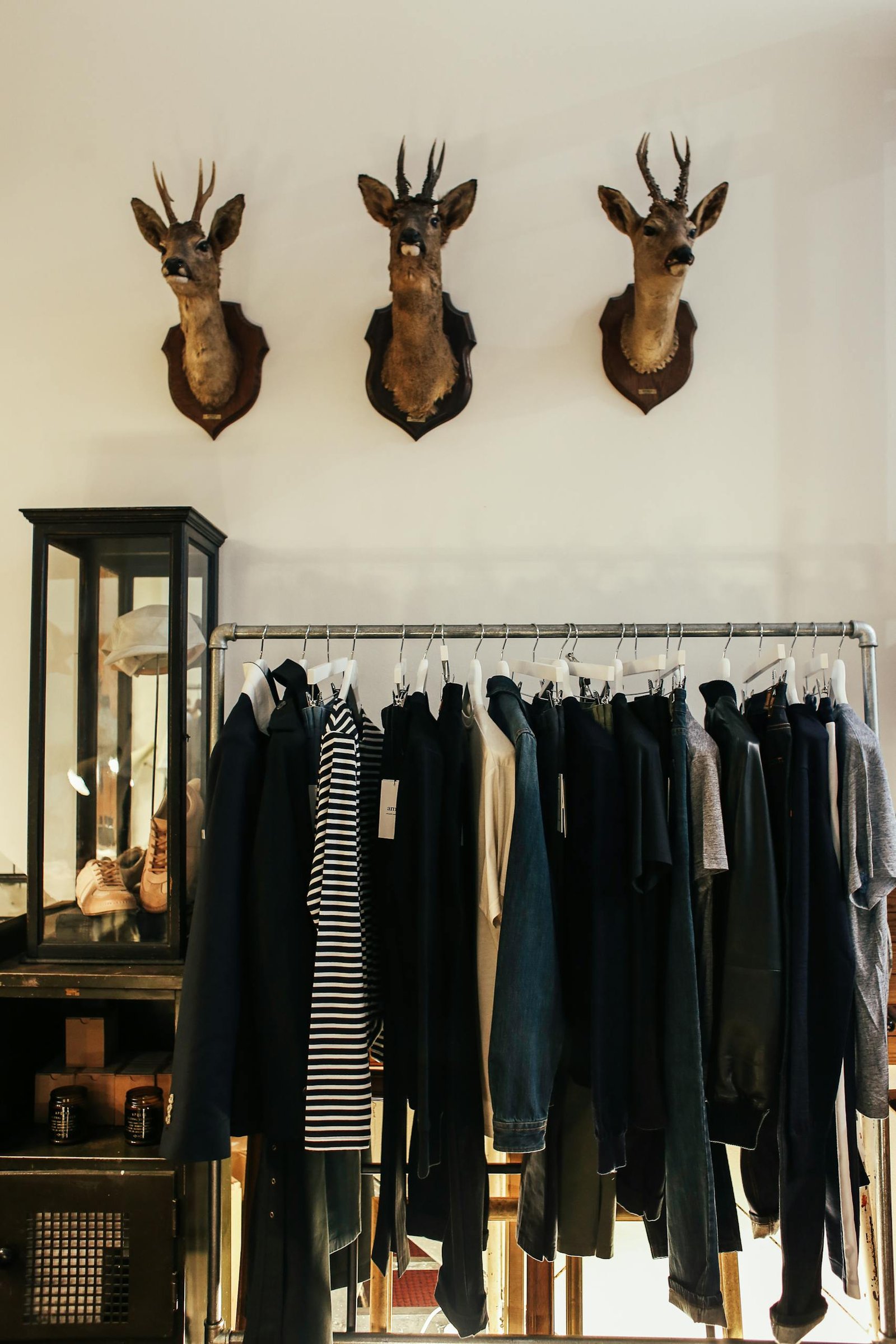 Stylish clothing store interior featuring mounted deer heads and modern clothing display.